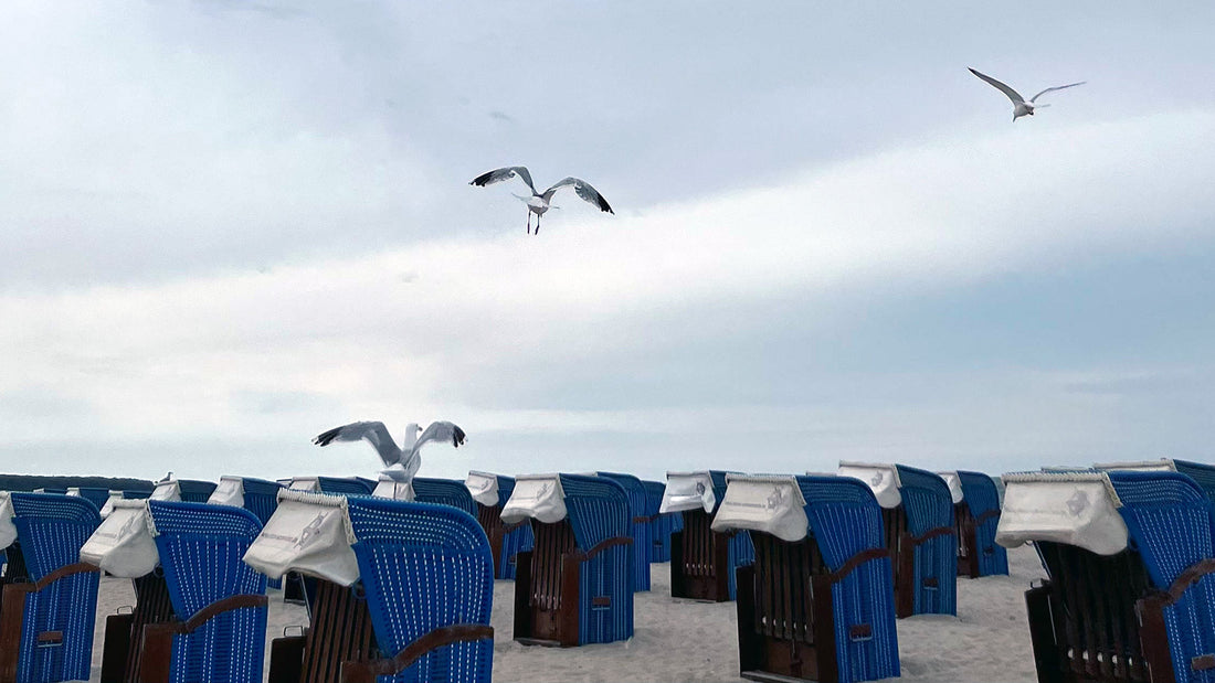 Seagulls flying over beach chairs on a sandy beach